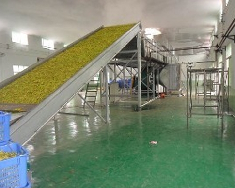 蜜桃视频APP色版网站廠家